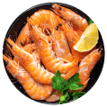 Red king Crab